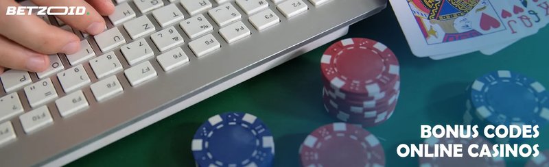 Wyns, wyns live casino
