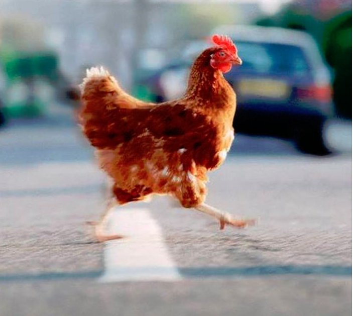 Chicken road originale - La Strada della Gallina: Il Gioco di Azzardo che ha Preso il Segno in Italia